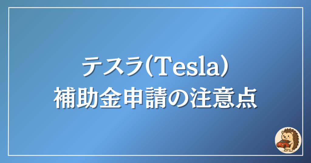 テスラ　申請時の注意点