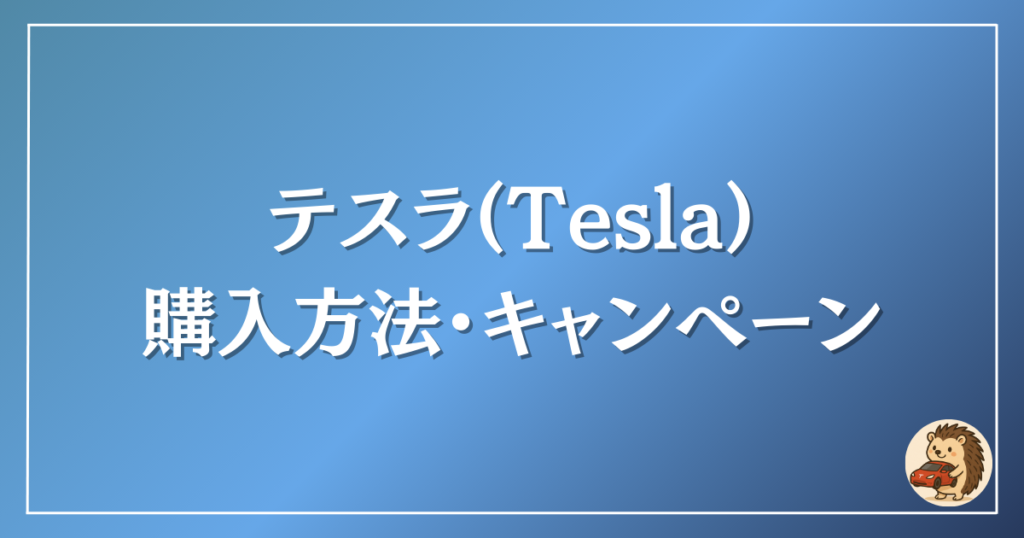 テスラ　キャンペーン