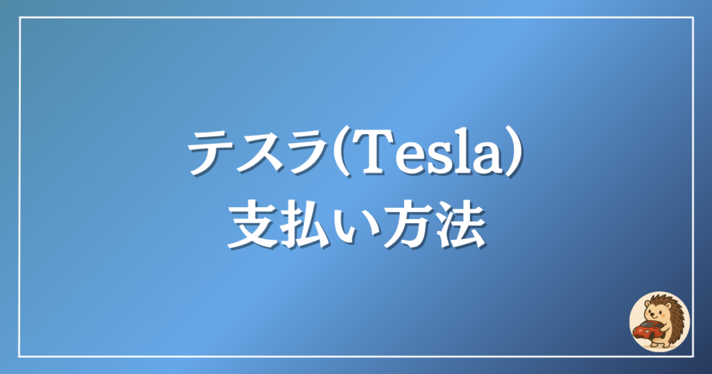 テスラ　支払い方法
