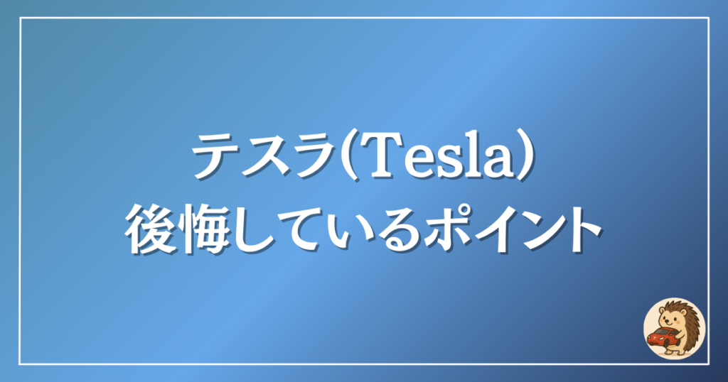 テスラ 後悔したポイント