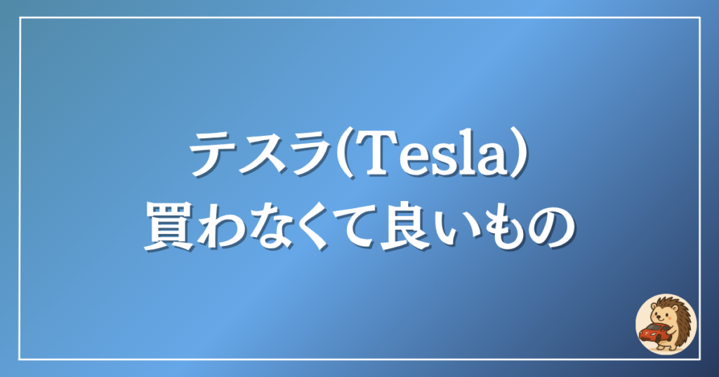 テスラ　買わなくて良いもの