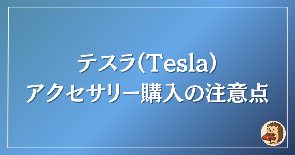 テスラ アクセサリー購入の注意点