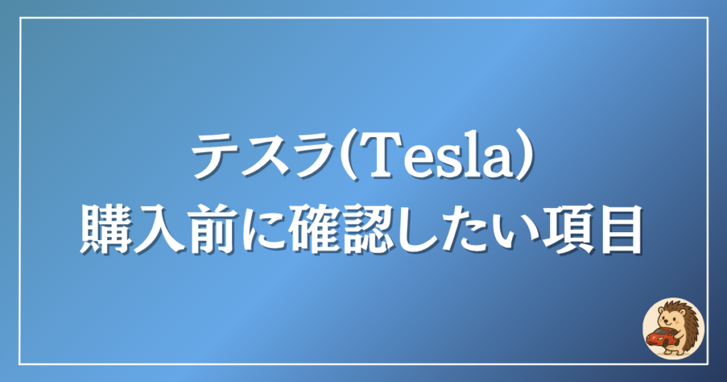 テスラ 購入前の確認したい項目