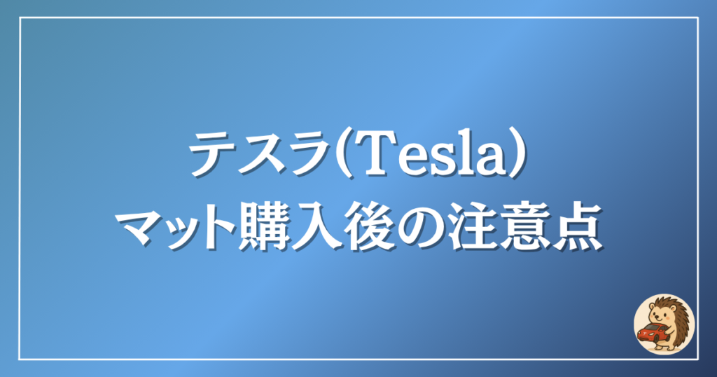 テスラ　マット購入後の注意点