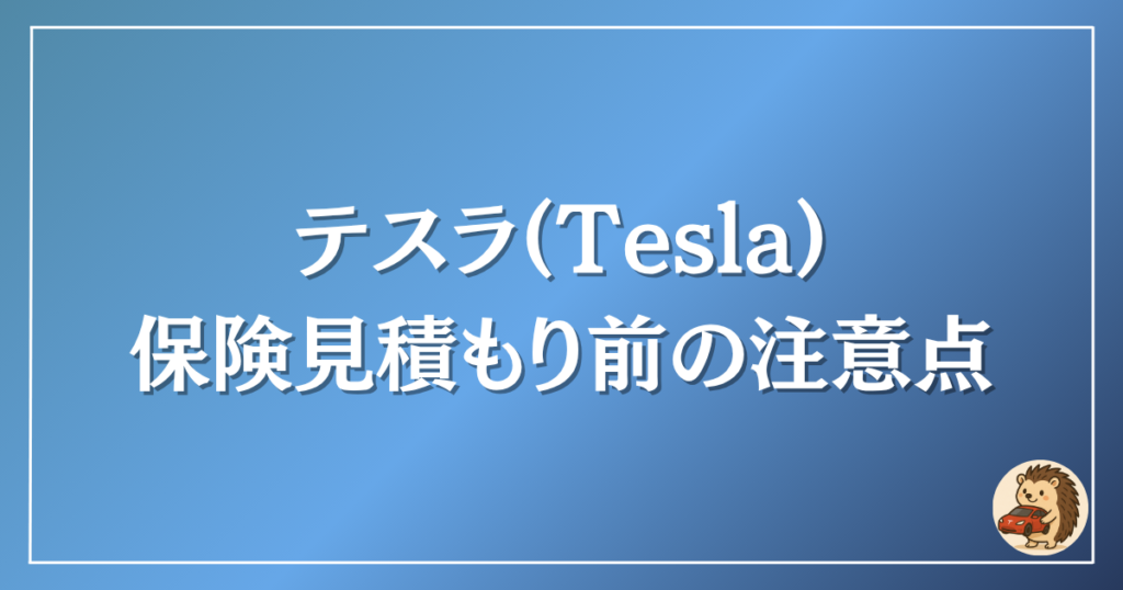 テスラ　保険見積もり前の注意点
