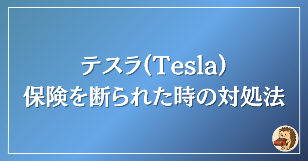 テスラ　保険を断られた時の対処法