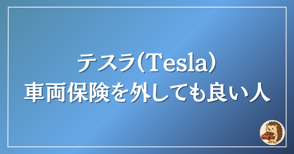 テスラ　車両保険を外しても良い人