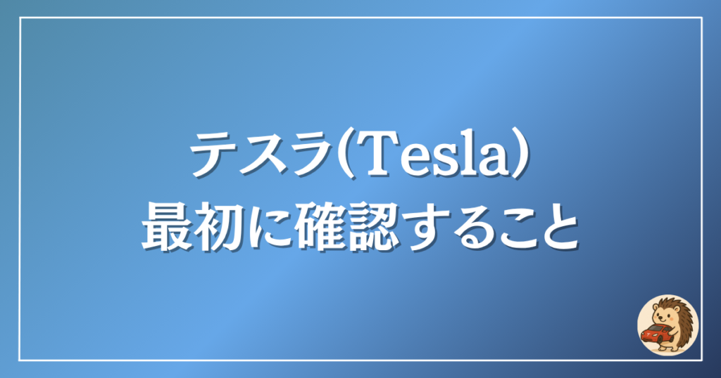 テスラ 最初に確認すること
