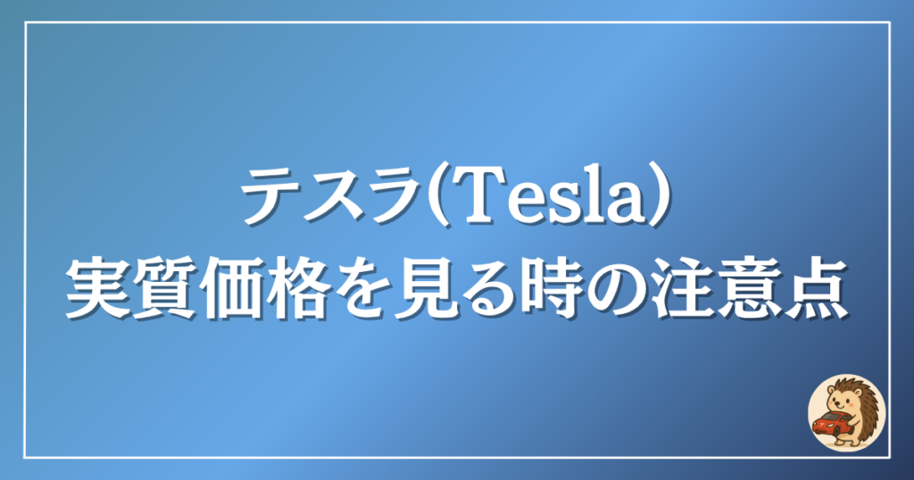 テスラ 実質価格を見るときの注意点