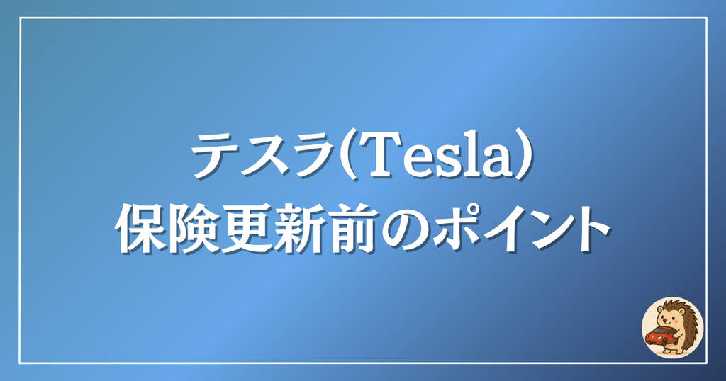 テスラ　保険更新前のポイント