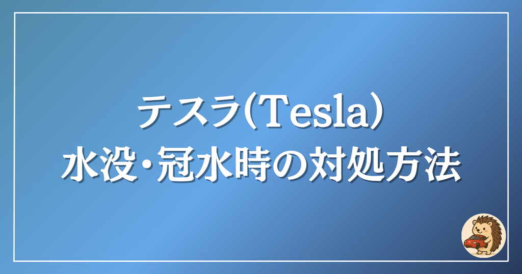 テスラ　水没時の対処方法